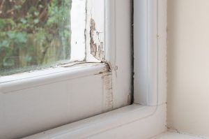 rotted windowsill